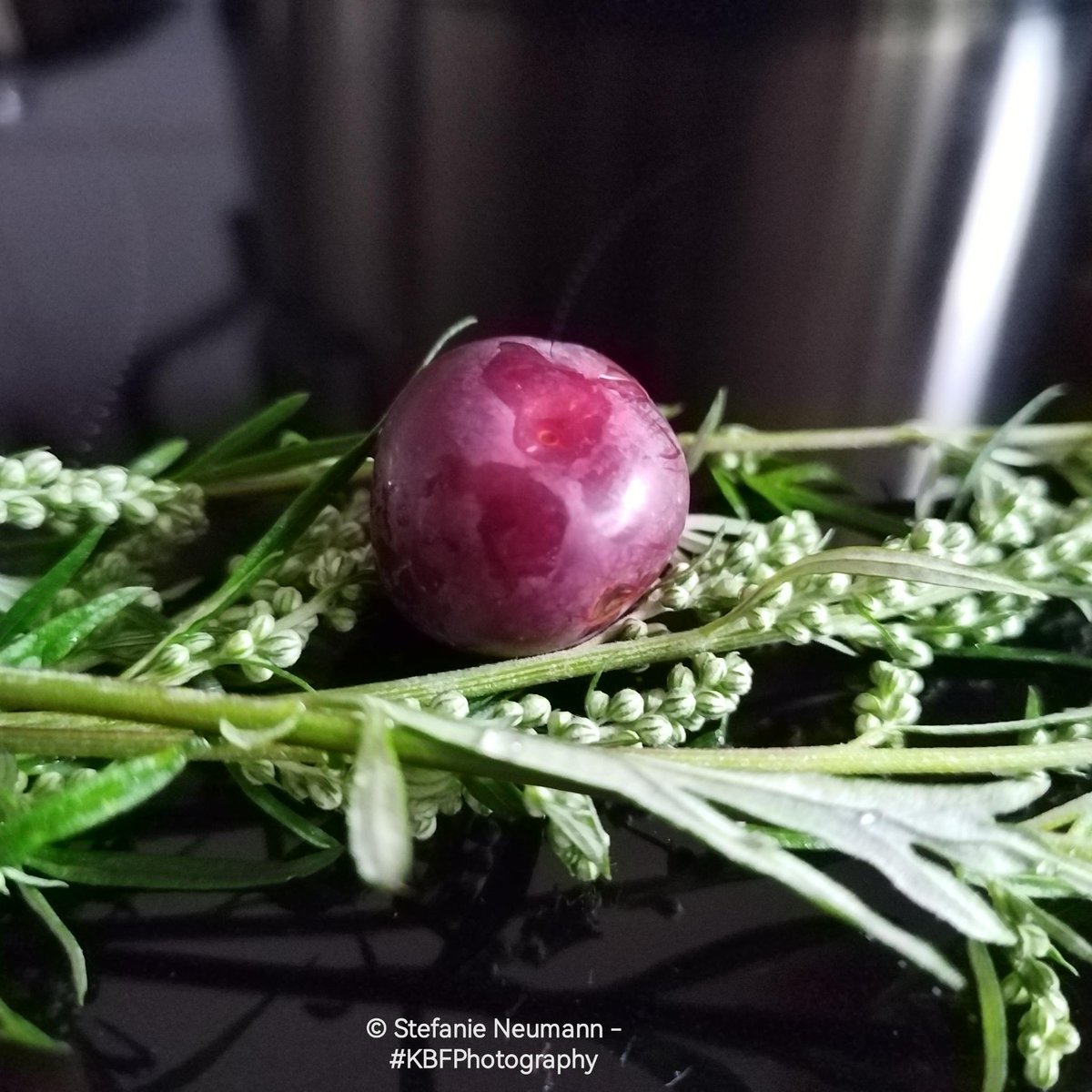 KokopelliBFree's tweet photo. #HappinessProject Week 17 - #3SimpleThings Day 2

1) Short #KBFWalk through the neighbourhood. ☑️
2) A vegan, homemade café latte. ☑️
3) A bit of creative output. ☑️

Been looking forward to these things. The intention helped me to stay present.

#Happiness https://t.co/kpbiE27UQX