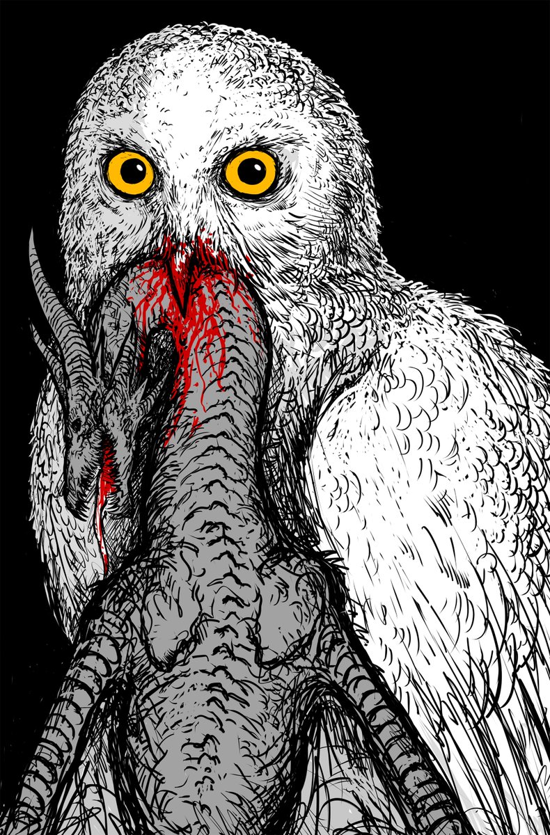 Carapace777's tweet image. 