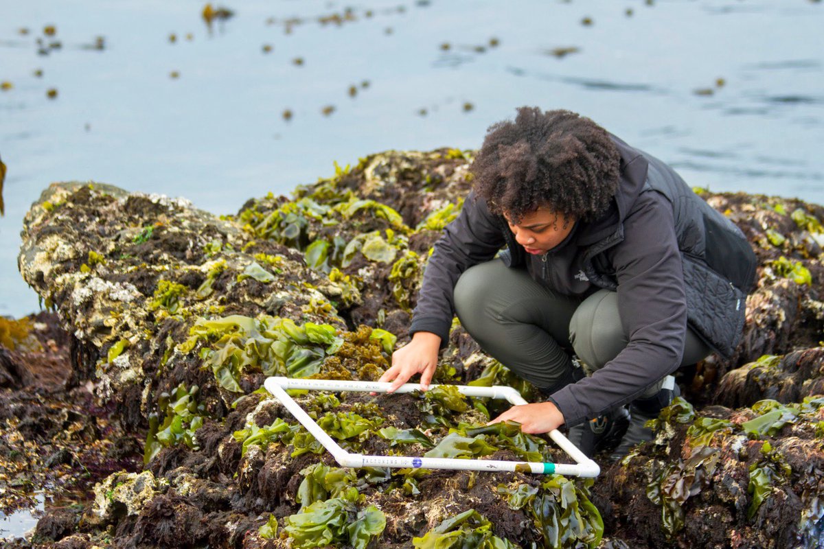 UCLAIoES's tweet photo. Candidates, all under the age of 40, have been nominated for their achievements in various environmental fields. These photos show a few of the young innovators hard at work. https://t.co/BldiuzP8IU