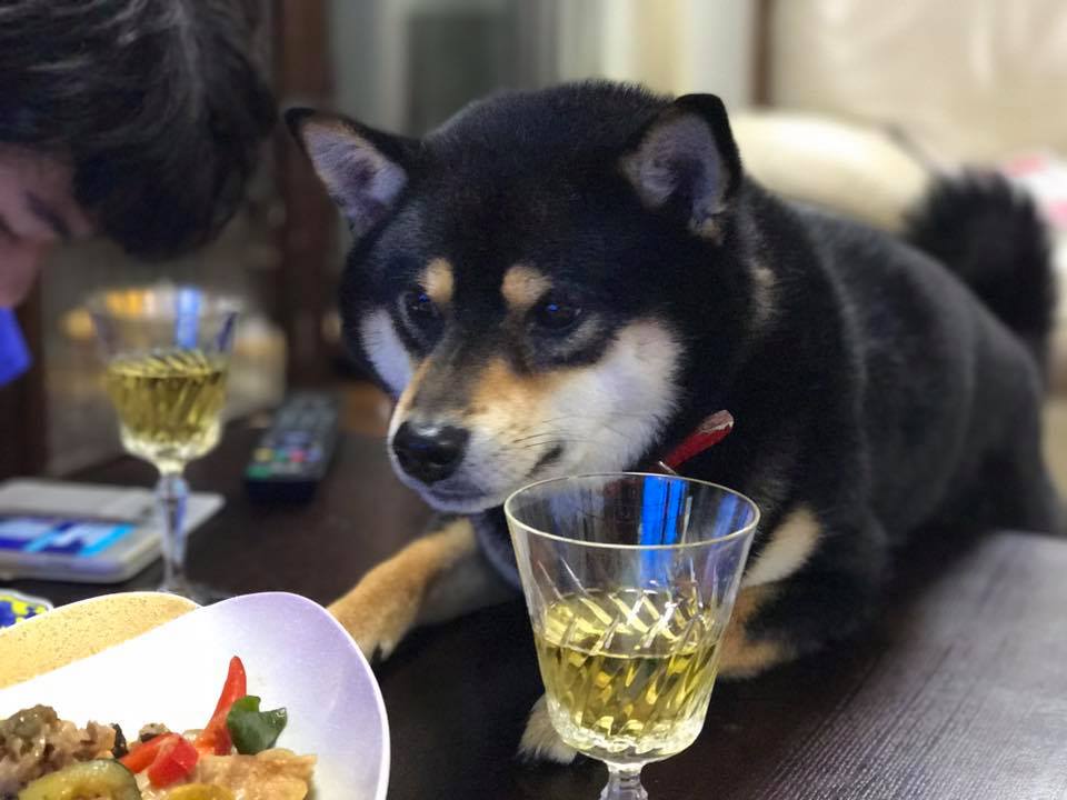 Athanasios80385's tweet image. Have a nice day all