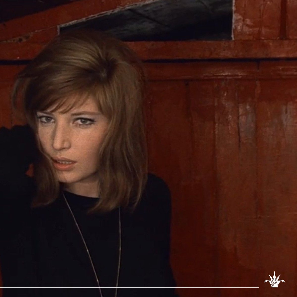 FICGoficial's tweet image. El cine de Michelangelo Antonioni se coloreó en EL DESIERTO ROJO.
 
Este clásico italiano llega a @CinetecaFicg en una versión restaurada. 🎞️ 🇮🇹

Italia fue Invitado de Honor en #FICG38 con una curaduría de lo mejor de su cinematografía
contemporánea.

#HistoriasQueTrascienden