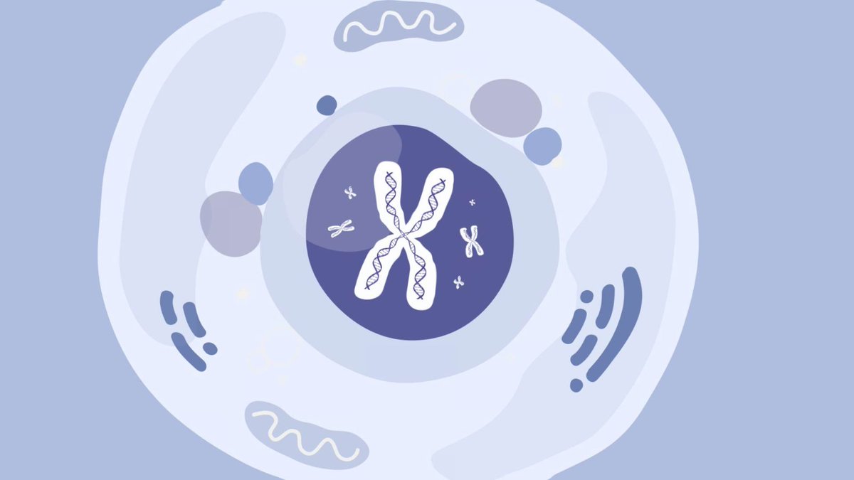 Last month, <a href="/US_FDA/">U.S. FDA</a> approved the first-ever #genetherapy for #Duchenne #musculardystrophy. Read comments from ASGCT President Jeffrey Chamberlain, PhD, who has pioneered development of micro-dystrophin GTs, about the significance of this approval. ow.ly/vP2q50PaEvW