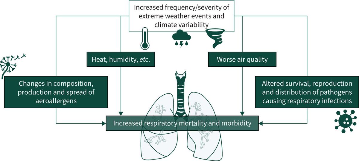 Climate change is a major threat to lung patients due to increasing temperatures, more extreme weather, poorer air quality, and altered allergen and microbial exposure. Respiratory clinicians must be educated to mitigate this burden to their patients. bit.ly/43lE32N