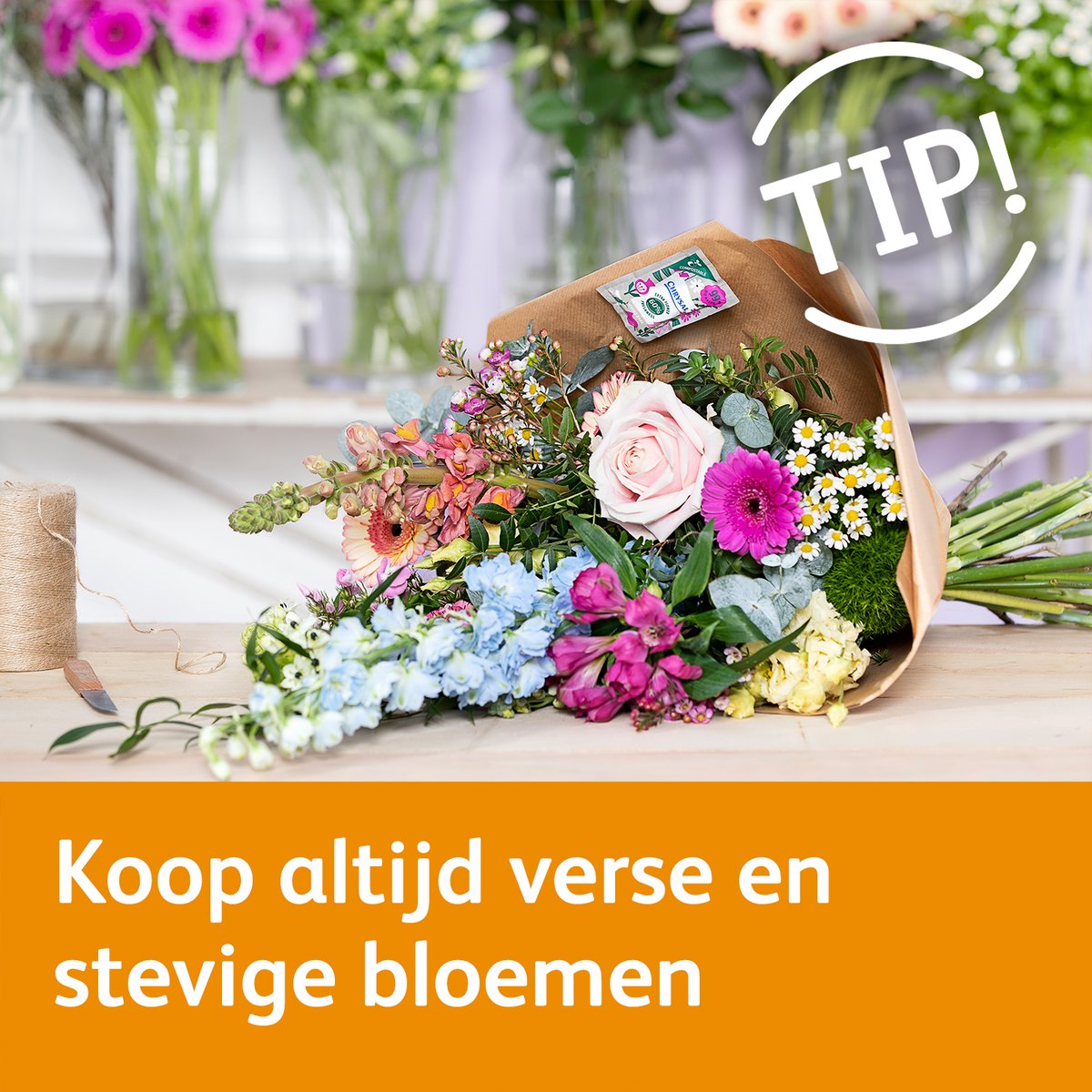 Chrysal Benelux tweet media