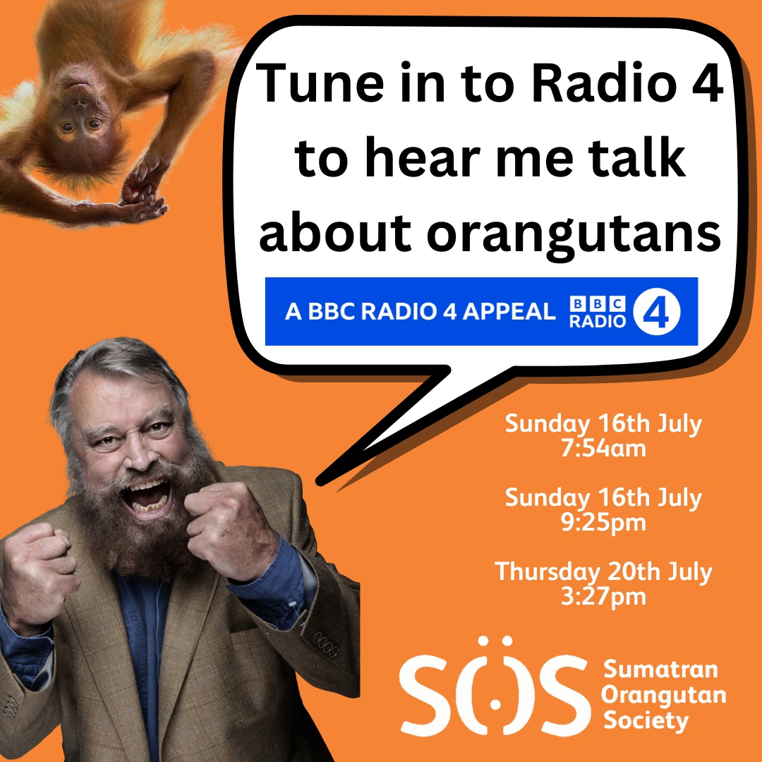 OrangutansSOS's tweet image. Our #R4Appeal presented by @brianblessed will broadcast 3 times this month.

Sunday 16th July 7:54am
Sunday 16th July 9:25pm
Thursday 20th July 3:27pm

The first £8,000 raised will be matched by a long-standing supporter, so your donation has double the impact. 🦧♥️🌳