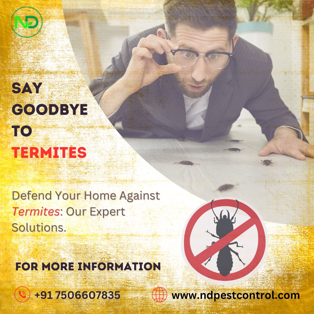 nd_pestcontrol's tweet photo. 🐜🚫 Say goodbye to pesky termites with our professional termite pest control services! 🏠🔒

#TermiteControl #PestControlServices #TermiteFreeLiving 
Contact Us :
☎️ Phone: +91 7506607835 / +91 8655285713
📧 Email: info@ndpestcontrol.com
🌐 Website: https://t.co/NdKRXDWBfp https://t.co/ekRNLRG7Hr