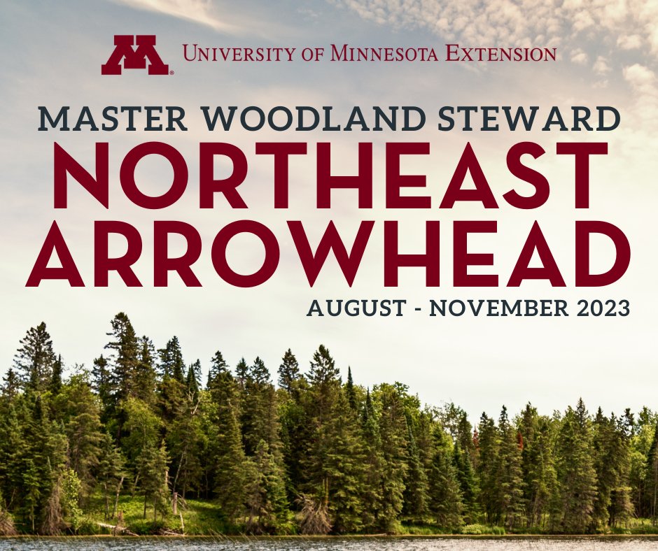 MyMinnesotaWoods tweet media