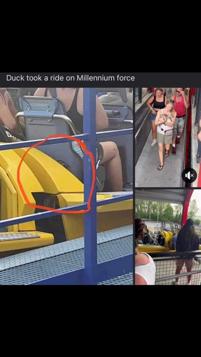 mrswatkinson's tweet photo. @gregjames well saw this on my timeline today and instantly thought of you! So ducks can go on rides!  #longboy 🤣🤣 https://t.co/wyuPcKzEmc