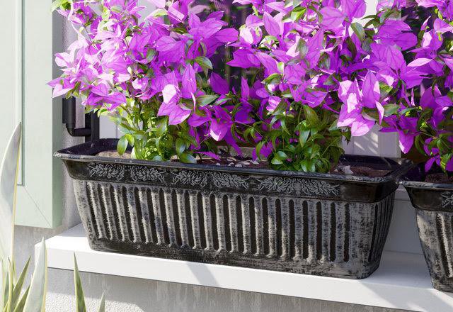 VerdantLivingUK's tweet photo. Floral Fluted Window Boxes 🪴

These traditional planters offer a hint of Greek/Roman elements.

Head to the Amazon store 🖇️⬆️
#gardening #VerdantLiving #garden #VerdantLife #greenfingers #plants #indoors #FloralFluted #flower #floraldesign #Amazon #growyourown #AmazonProduct https://t.co/8jFu9wumZe