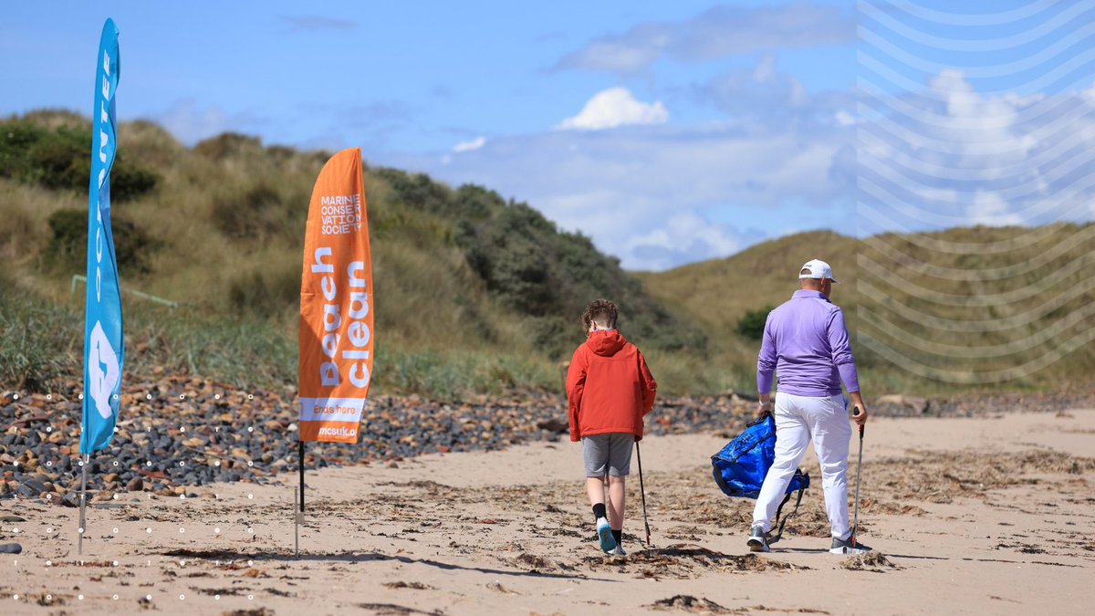 OCEANTEE tweet media