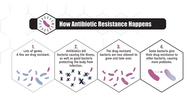 The best way to decolonize MDROs is to minimize antibiotic exposure.

Without the selection pressure from antibiotics, resistant bugs won't thrive and our normal flora will eventually take over