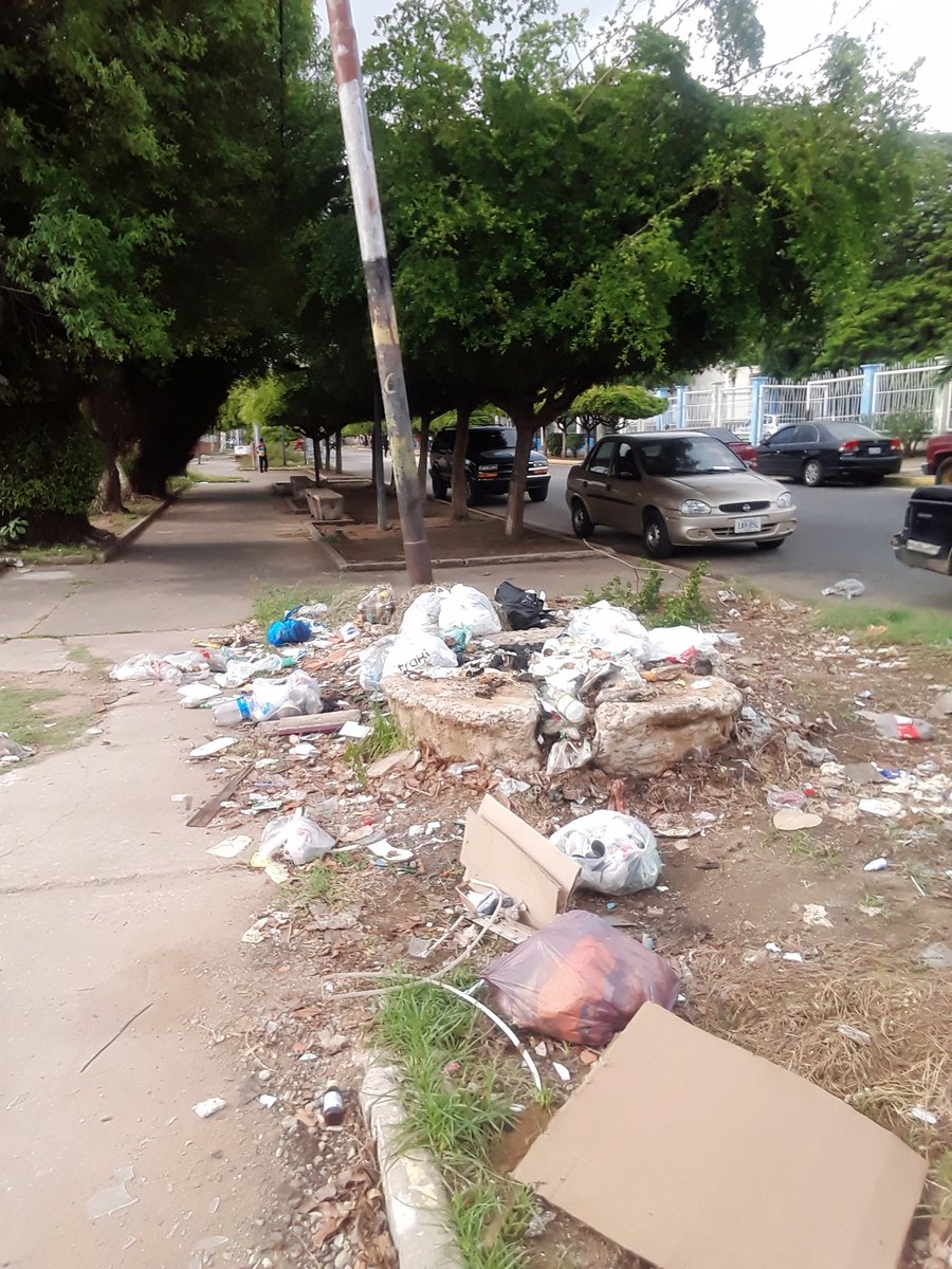 Basura...basura....basura...el municipio de la basura y la desidia <a href="/cheolagunillas/">José Mosquera Adarme</a> kilometros de basura y de ineptitud en la Corporacion Acil Italo Hispano  <a href="/untlags/">UNT Lagunillas</a> <a href="/CamaradaDixon/">Dixon Rivera</a> <a href="/OMARJOSEAVILAC7/">NOTICIAS FABRICIO OJEDA</a> <a href="/somosnoticiacol/">SomosNoticiasCOL</a> <a href="/ParauteLags/">Paraute Lagunillas</a> <a href="/julioenradiotv/">Julio Flores</a>