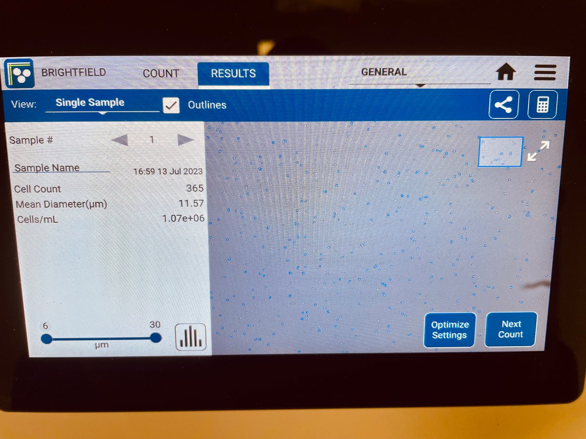 Federico Rojas tweet media