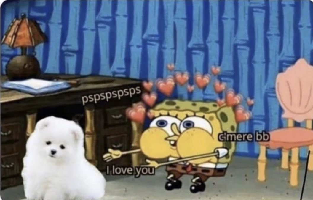 when I'm at someone's house and they have a dog