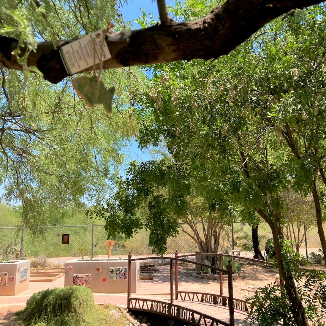 TucsonParksRec's tweet photo. If you recognize one of these parks, you might be able to find an ornament still hanging!
#SanAntonioPark #SilverlakePark #ManuelHerreraPark #CherryPark #BrostolPark #BravoPark https://t.co/yaMHyrqn1R