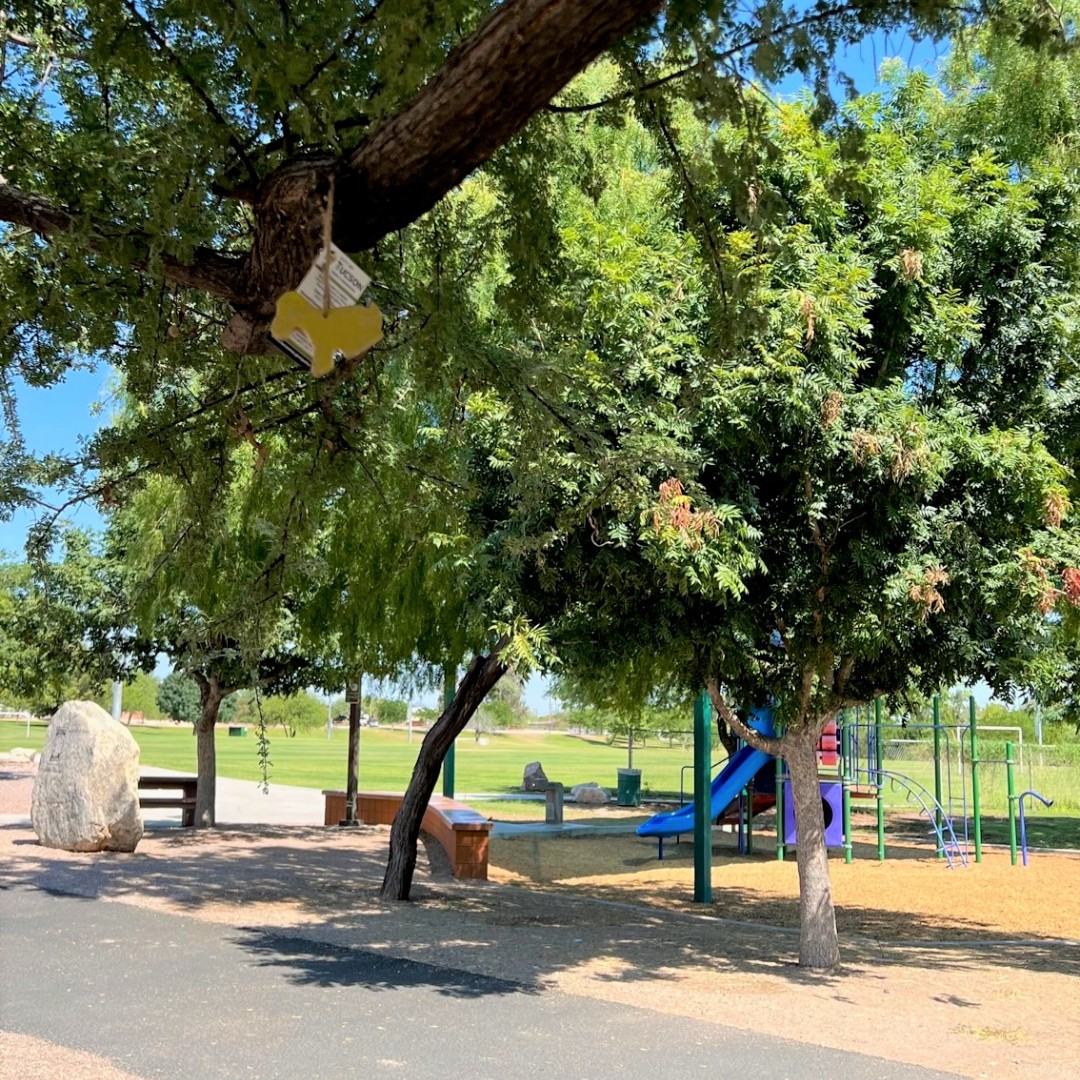 TucsonParksRec's tweet photo. If you recognize one of these parks, you might be able to find an ornament still hanging!
#SanAntonioPark #SilverlakePark #ManuelHerreraPark #CherryPark #BrostolPark #BravoPark https://t.co/yaMHyrqn1R