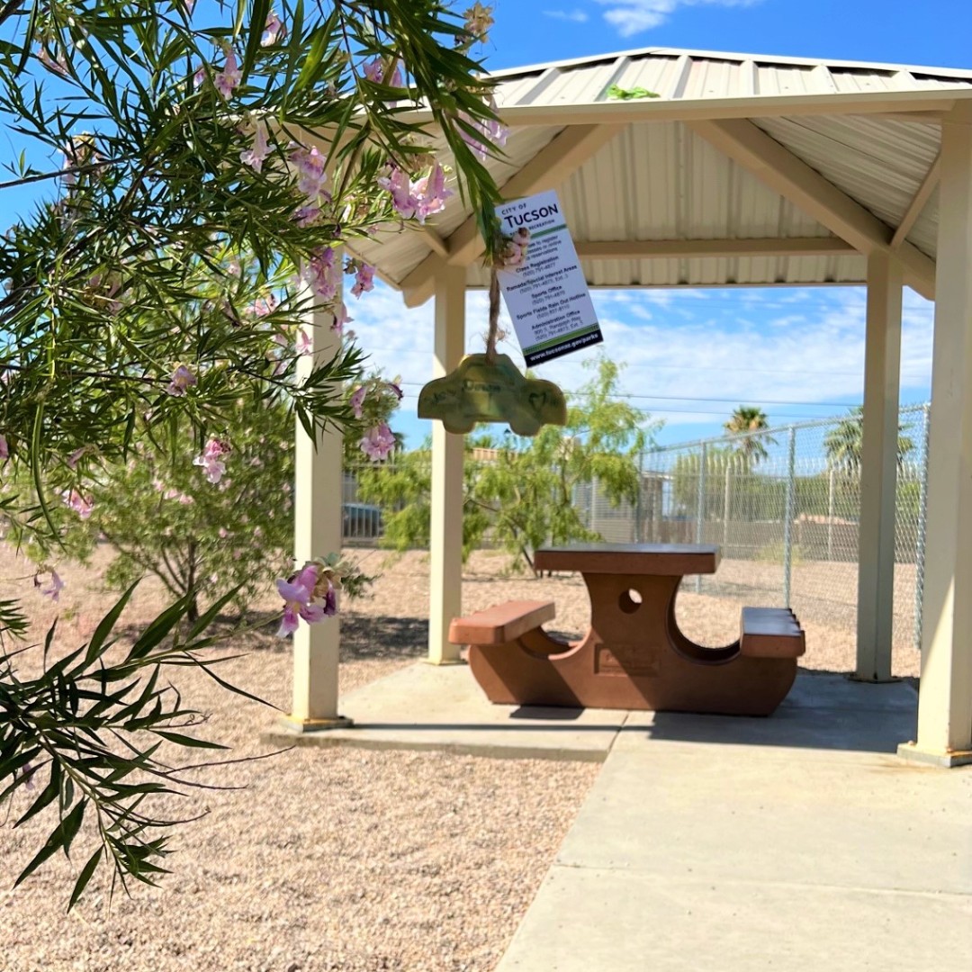 TucsonParksRec's tweet photo. If you recognize one of these parks, you might be able to find an ornament still hanging!
#SanAntonioPark #SilverlakePark #ManuelHerreraPark #CherryPark #BrostolPark #BravoPark https://t.co/yaMHyrqn1R