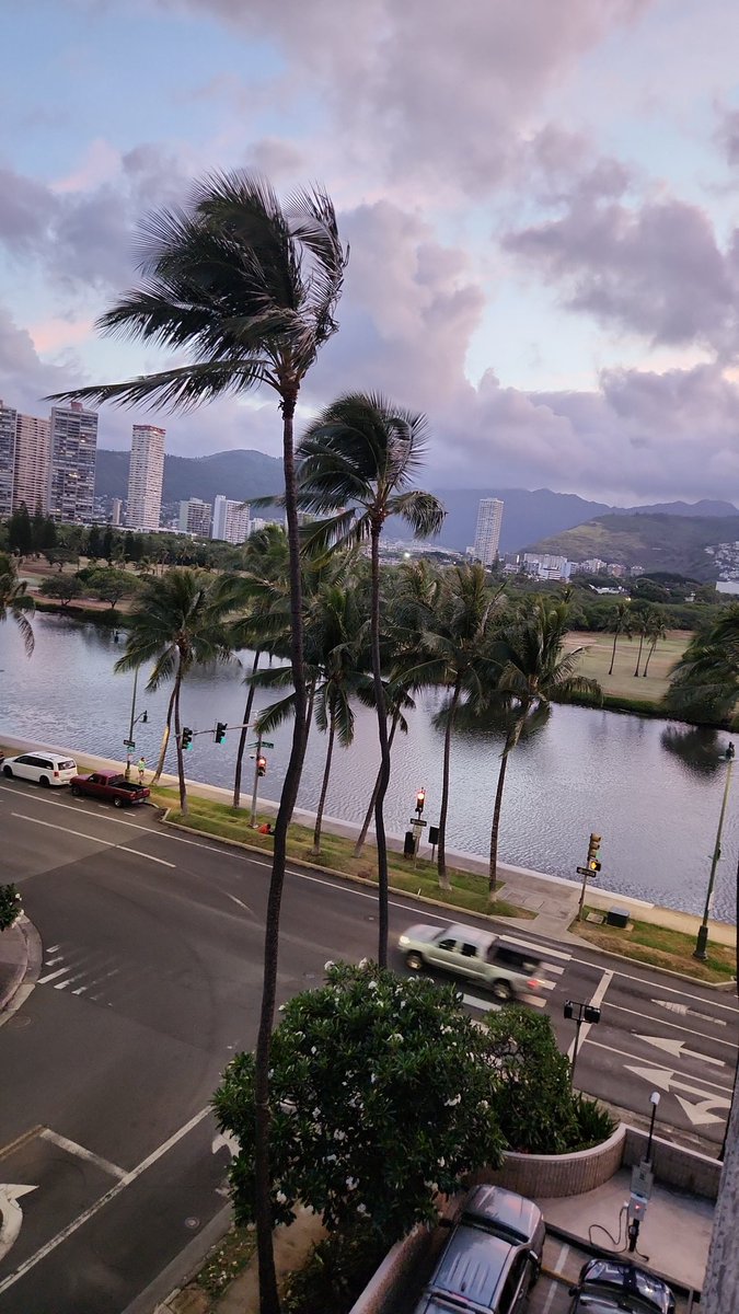 MsKPatel1's tweet photo. Good morning from Honolulu 🏝 https://t.co/2I4fqvXxDw