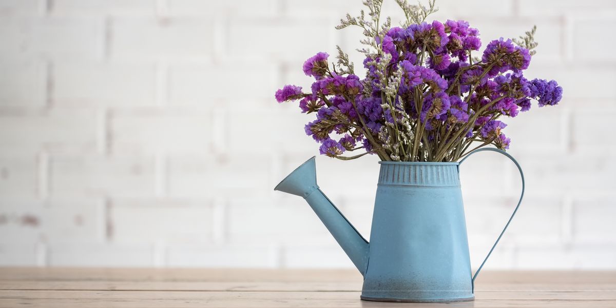 smaggio15's tweet photo. Learning how to dry flowers for preservation starts with reading this article. #DIY #homeprojects  https://t.co/iyMq4HBvva https://t.co/xJcsvMUp24