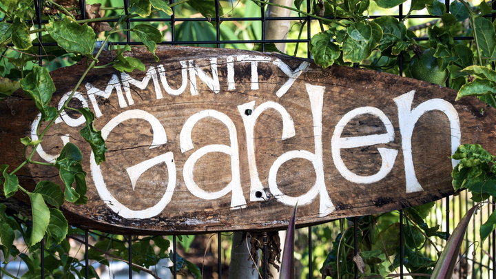 ClemmonsROCC's tweet photo. Learn about how you can Volunteer with our garden this Summer, and more on this week's ROCC Update! https://t.co/LhaGKNWnhj https://t.co/La7N1kXNVH