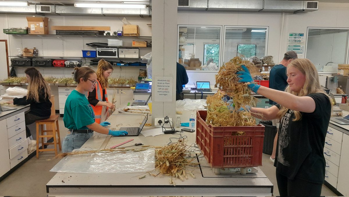ADASBoxworth's tweet photo. A very busy crops lab at Boxworth today with nearly the whole team involved in assessments for physiology trials on wheat, peas and oilseed rape! 🌾📏 With everyone being on site we also took the opportunity to snap a whole field team photo for the first time in a few years! 📸 https://t.co/vnHlzc4tqx