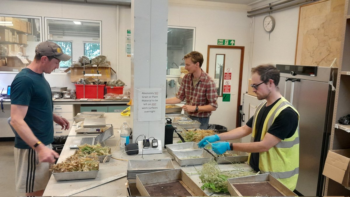 ADASBoxworth's tweet photo. A very busy crops lab at Boxworth today with nearly the whole team involved in assessments for physiology trials on wheat, peas and oilseed rape! 🌾📏 With everyone being on site we also took the opportunity to snap a whole field team photo for the first time in a few years! 📸 https://t.co/vnHlzc4tqx