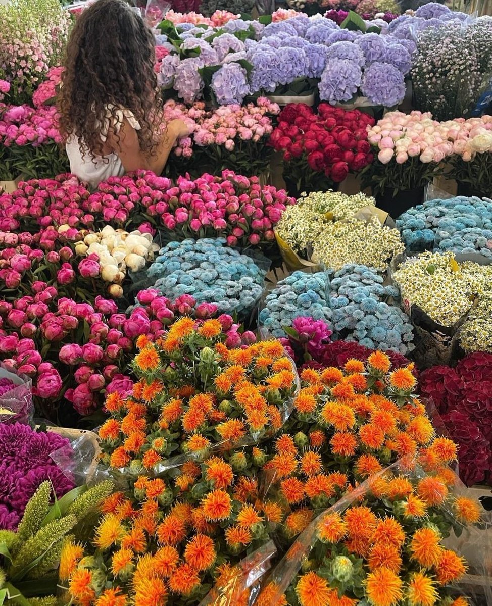 flowers everywhere