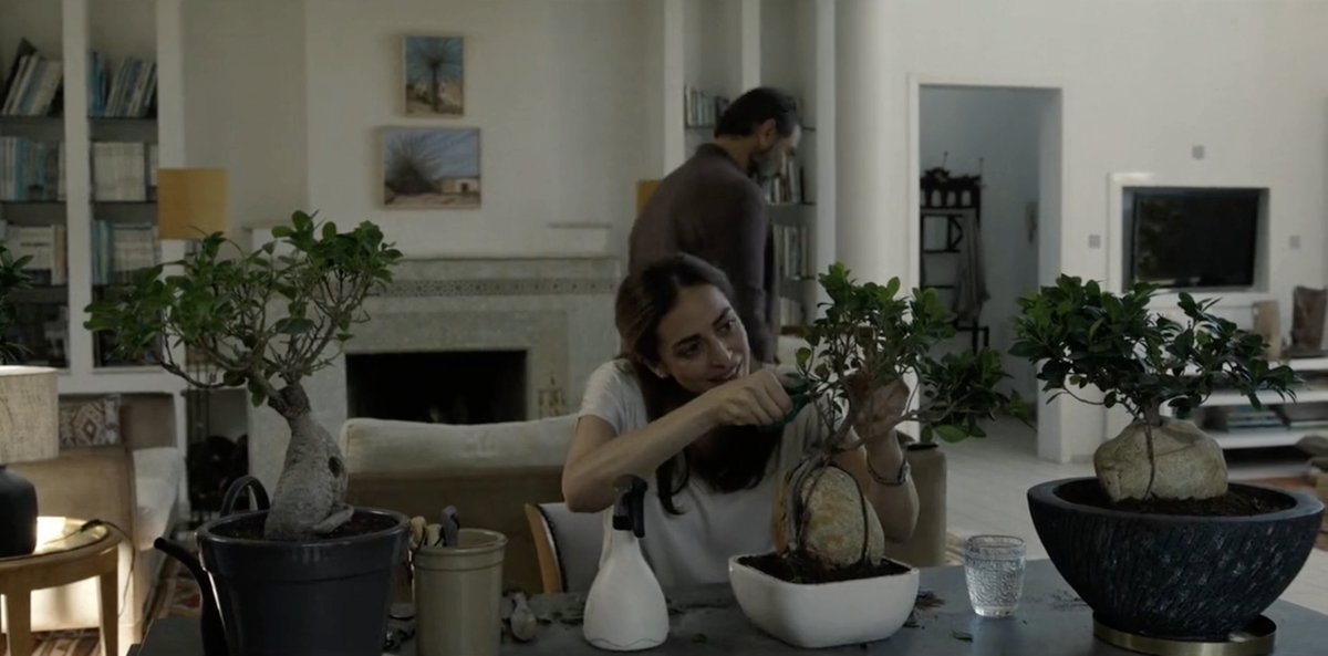 nashtags's tweet image. La plus belle ! #GhostsOfBeirut #Showtime #ZinebTriki