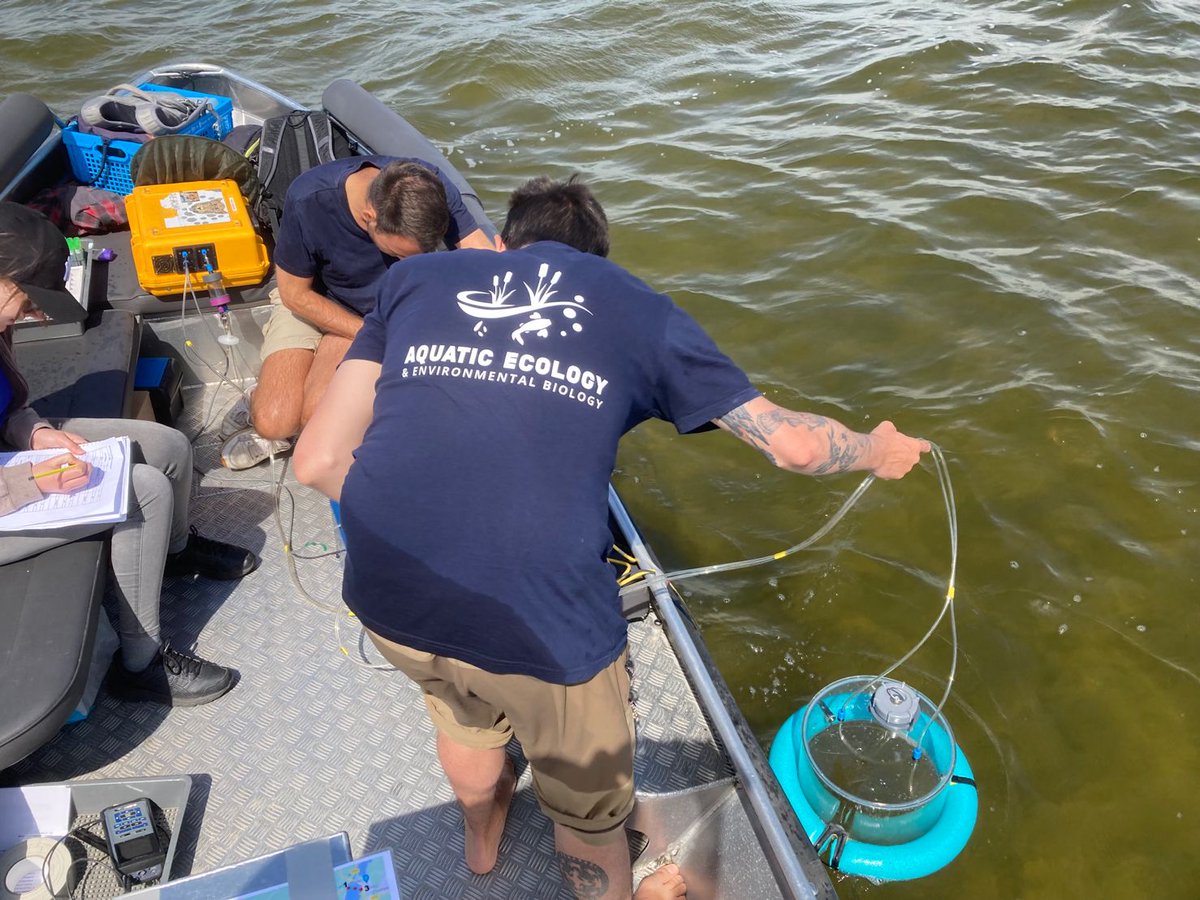 AEEB_RU (@ruaeeb) on Twitter photo AEEB colleagues & Marcel van den Berg <a href="/Rijkswaterstaat/">Rijkswaterstaat</a> are interested in the fate of organic & inorganic #carbon in Lake #Veluwemeer. After spatial sediment investigation (May 2022), now it is time to measure summer #CO2 & #CH4 fluxes - often over large meadows with #macrophytes AEEB colleagues & Marcel van den Berg <a href="/Rijkswaterstaat/">Rijkswaterstaat</a> are interested in the fate of organic & inorganic #carbon in Lake #Veluwemeer. After spatial sediment investigation (May 2022), now it is time to measure summer #CO2 & #CH4 fluxes - often over large meadows with #macrophytes