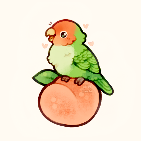 「peach-faced lovebird」|Spicymochiのイラスト