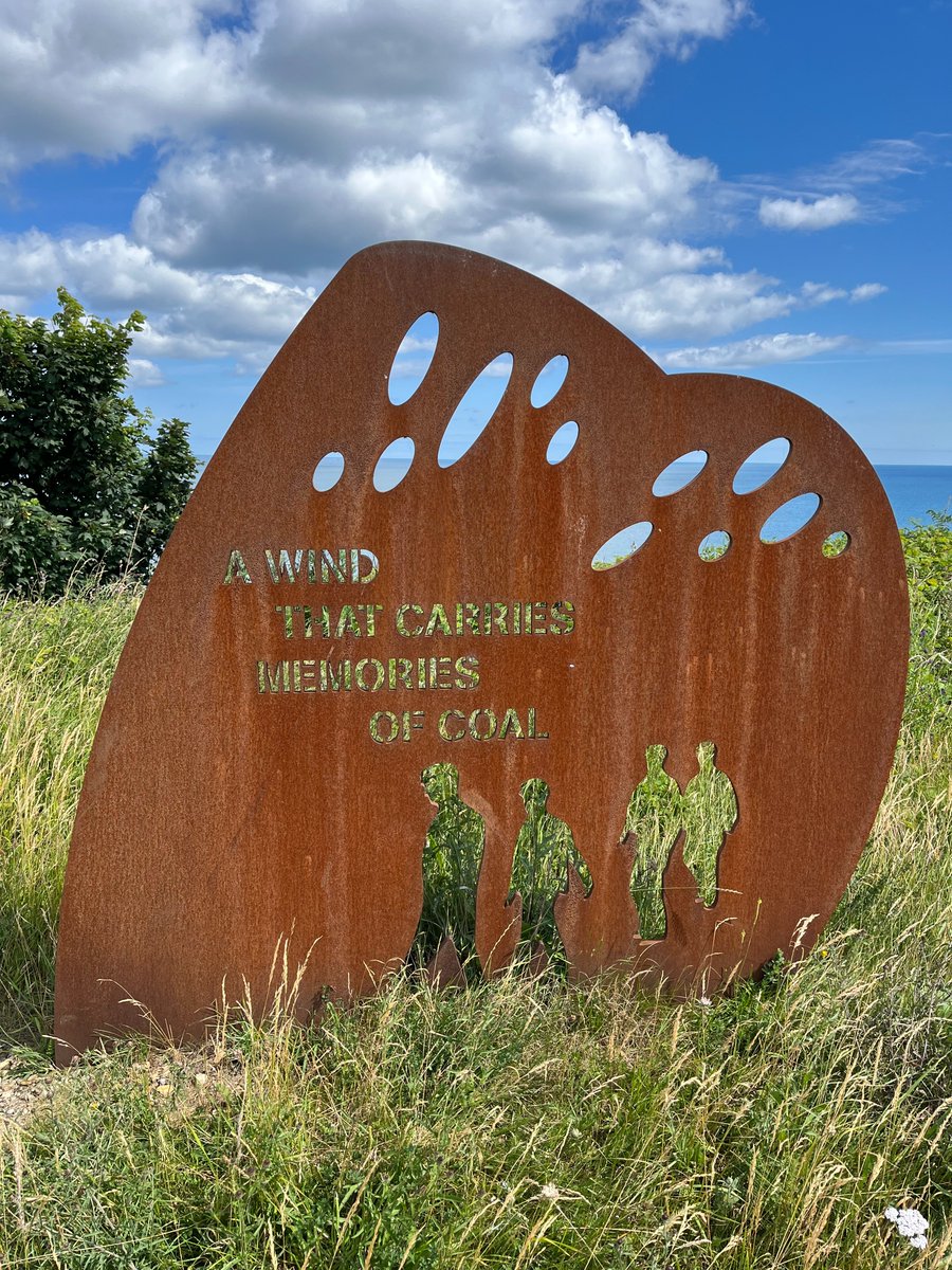 A beautiful walk along the King Charles III England Coast Path at Horden.....spot the hidden ladybird in one of the photos @nationaltrust @DurhamCoast @VisitBritain @StrongerShores @ChrisGPackham @ThisisDurham @durhamwildlife #wildlife #wildlifephotography @VisitHorden