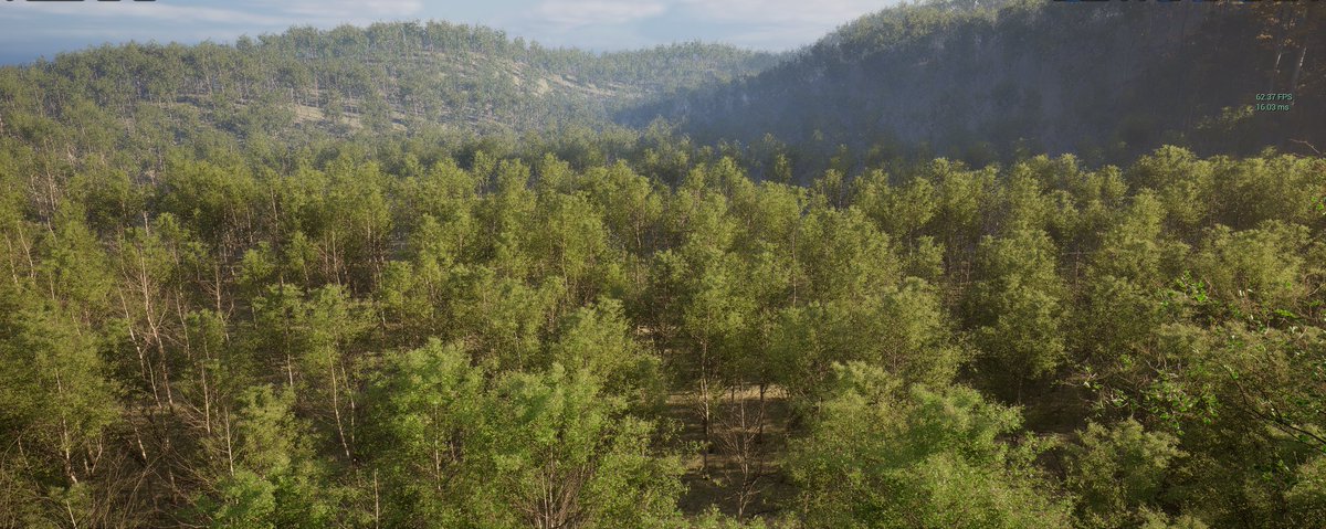 MacKenzie Shirk tweet media