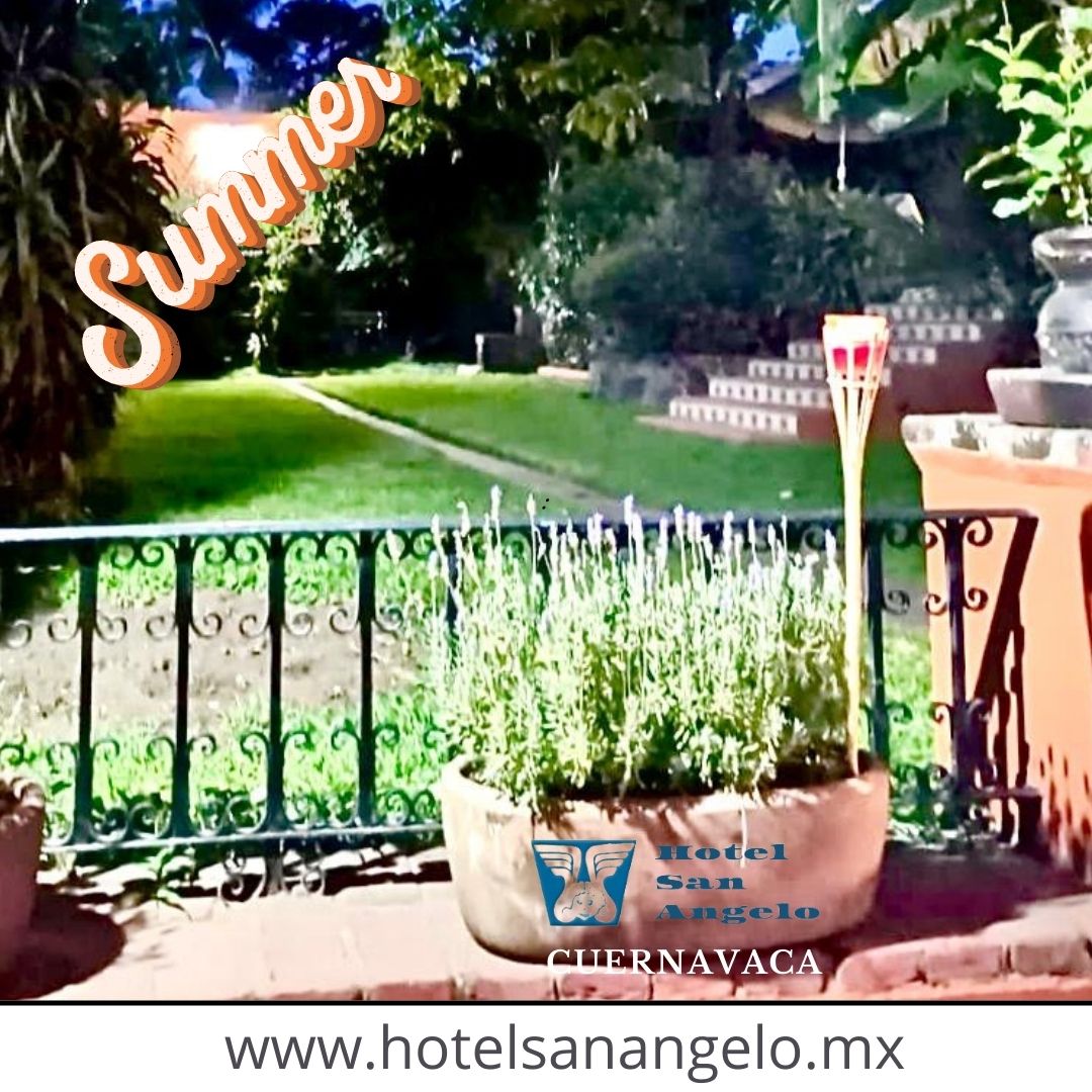 $1,200 mx room for two persons, per night.
With our options of hotel deals and seasonal specials, one of the best values in Cuernavaca gets even better.
BOOK NOW!
📷hotelsanangelo.mx
📷WhatsApp (777) 449 02 40
📷reservaciones@hotelsanangelo.com
#summerdeal #summerspecial