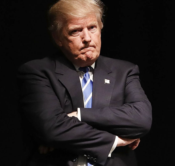 Occupy Democrats tweet media