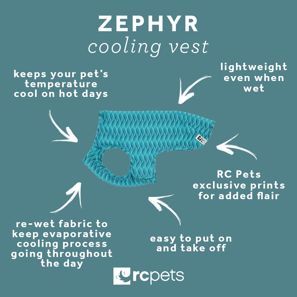 Soaring temps? Grr. 🐶

Just add water to our Zephyr Cooling Vest, wring it out and put it on your pet for instant cooling relief. 

Re-wet as needed throughout the day, easy! 

Get your paws on one: l8r.it/3KDw

#rcpets #welovepets #inspiredbypets #makeeverydayatreat