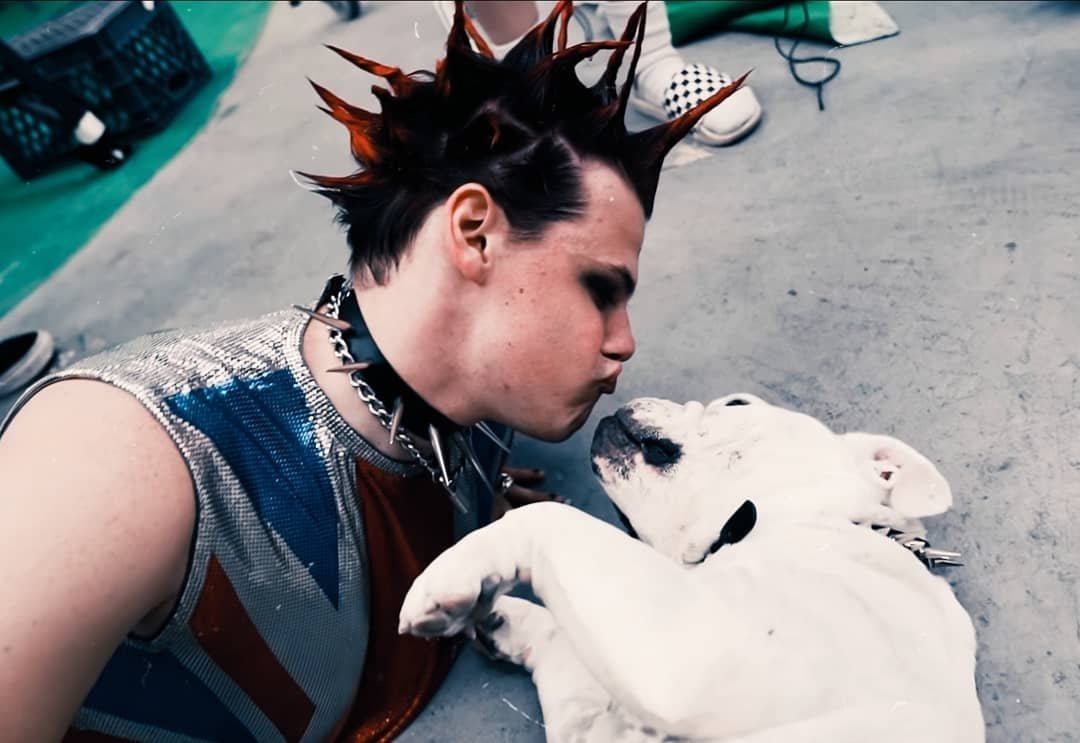 yungbludoni's tweet photo. r.i.p cannoli 😢
we'll miss u sweetheart 🖤 https://t.co/y3mOXZCU5Y
