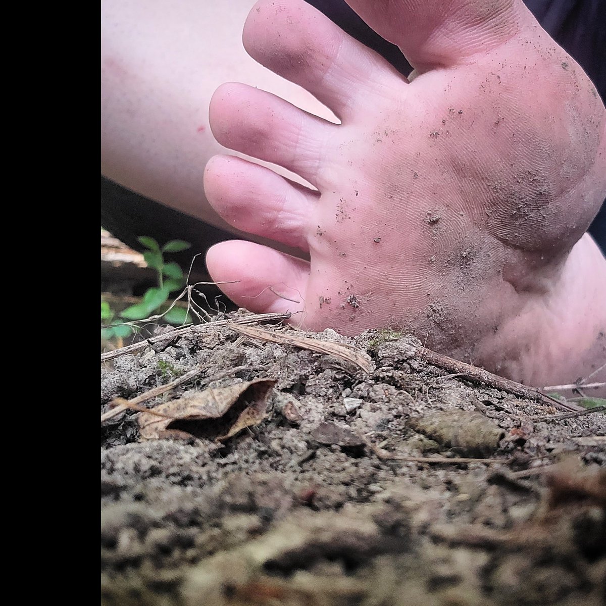 EarthlyToes's tweet photo. Doing dirty foot custom videos today and tomorrow. Hit me up on here or my other socials to see more 👣😜 https://t.co/mqzEvImYYw
https://t.co/oKGGwqK3Ac
#dirtyfeet #dirtysoles #muddysoles #thicksoles #crackedheels #muddytoes #muddyfeet #feet #footcustoms #womensfeet #footlove https://t.co/GeQFrf92D2