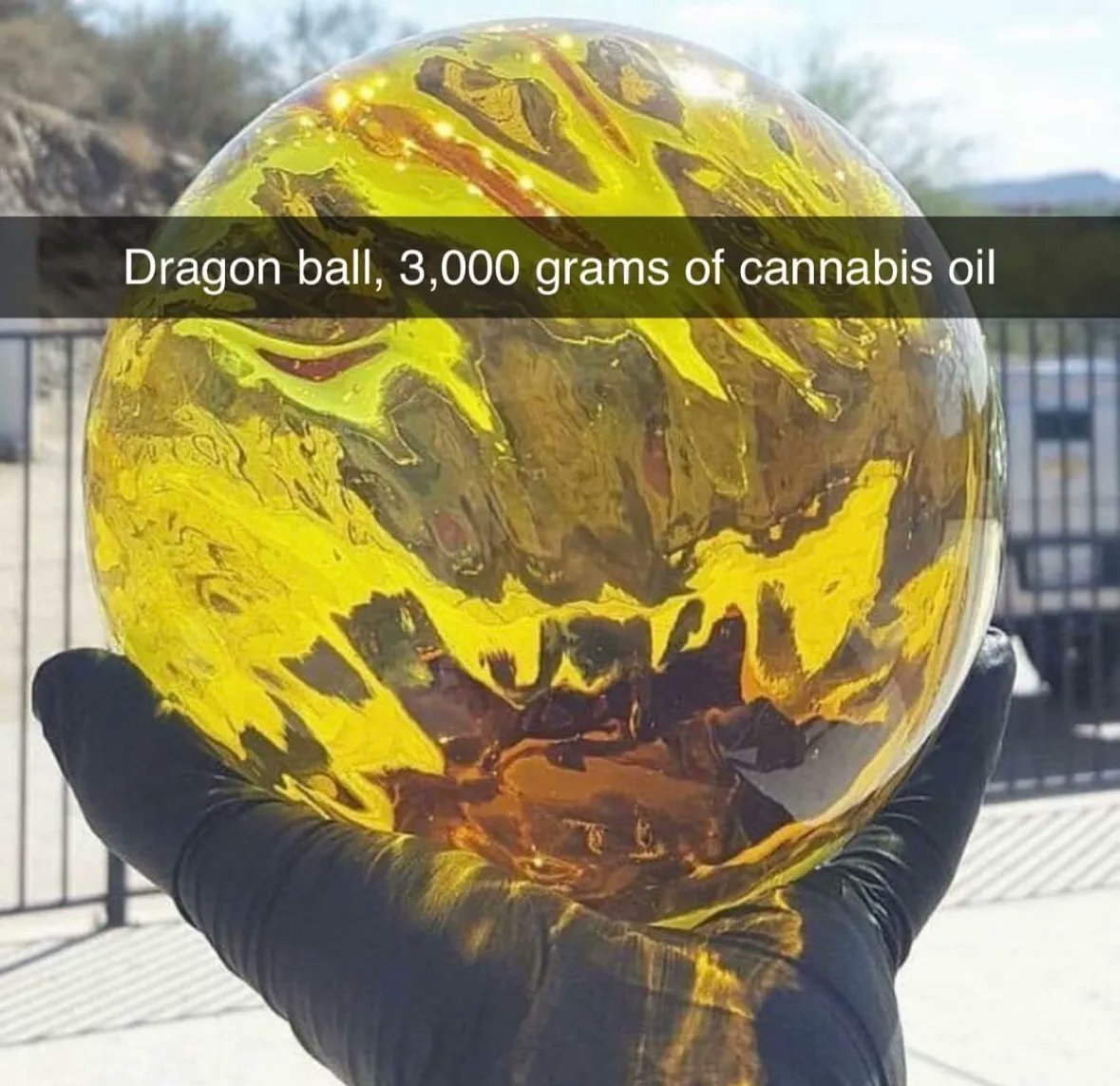 Weed Porn tweet media