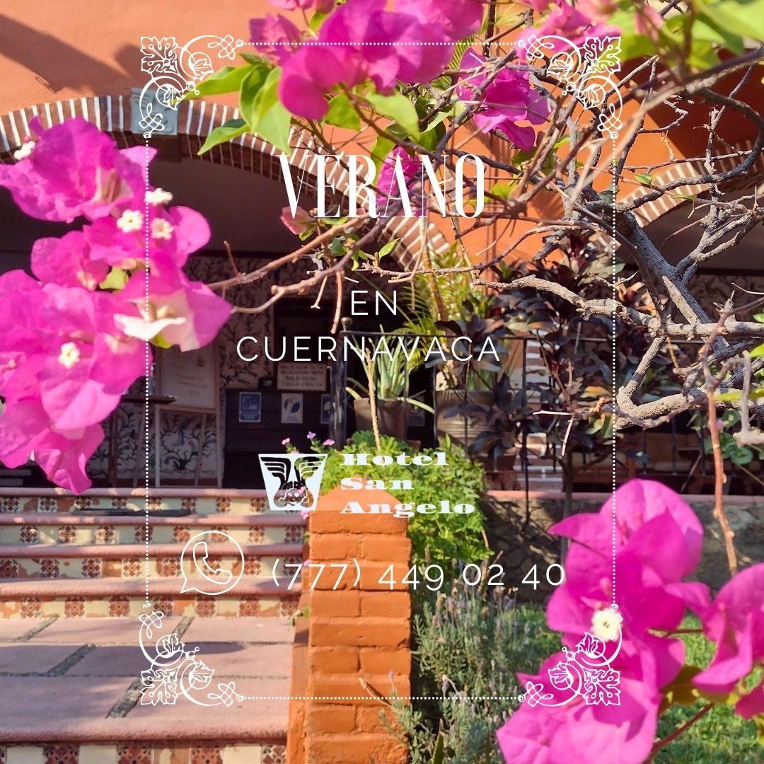 $1,200 mx room for two persons, per night.
With our options of hotel deals and seasonal specials, one of the best values in Cuernavaca gets even better.
BOOK NOW!
📷hotelsanangelo.mx
📷WhatsApp (777) 449 02 40
📷reservaciones@hotelsanangelo.com
#summerdeal #SummerSpecial