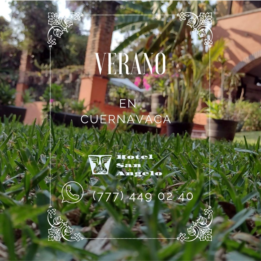 $1,200 mx room for two persons, per night.
With our options of hotel deals and seasonal specials, one of the best values in Cuernavaca gets even better.
BOOK NOW!
📷hotelsanangelo.mx
📷WhatsApp (777) 449 02 40
📷reservaciones@hotelsanangelo.com
#summerdeal #SummerSpecial