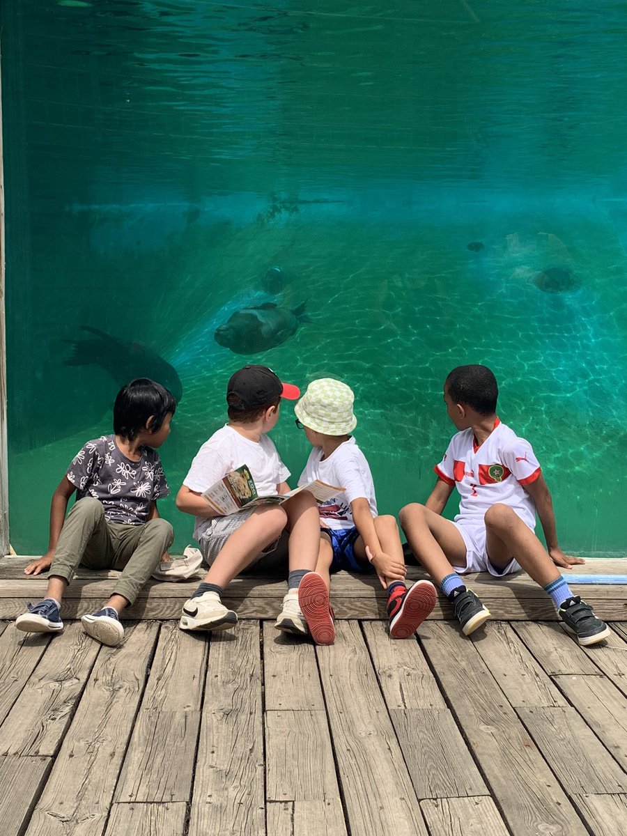 CroattoSandrine's tweet photo. Dernière journée des #vacancesapprenantes au zoo d’Amneville🐻🐒🐆🦒🐘🐆🦓🦍🐃🦭Mais aussi clap de fin de l’année 2022-2023 ! Alors cela méritait bien une bonne glace 🍦 
@CiteEdMetzBorny @PapNdiaye https://t.co/FjibUfQeYD