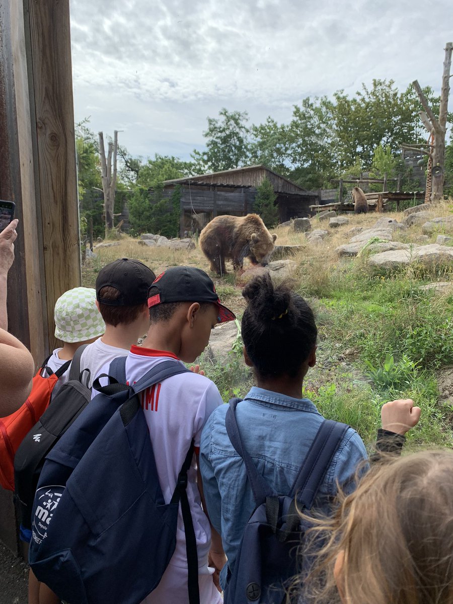 CroattoSandrine's tweet photo. Dernière journée des #vacancesapprenantes au zoo d’Amneville🐻🐒🐆🦒🐘🐆🦓🦍🐃🦭Mais aussi clap de fin de l’année 2022-2023 ! Alors cela méritait bien une bonne glace 🍦 
@CiteEdMetzBorny @PapNdiaye https://t.co/FjibUfQeYD