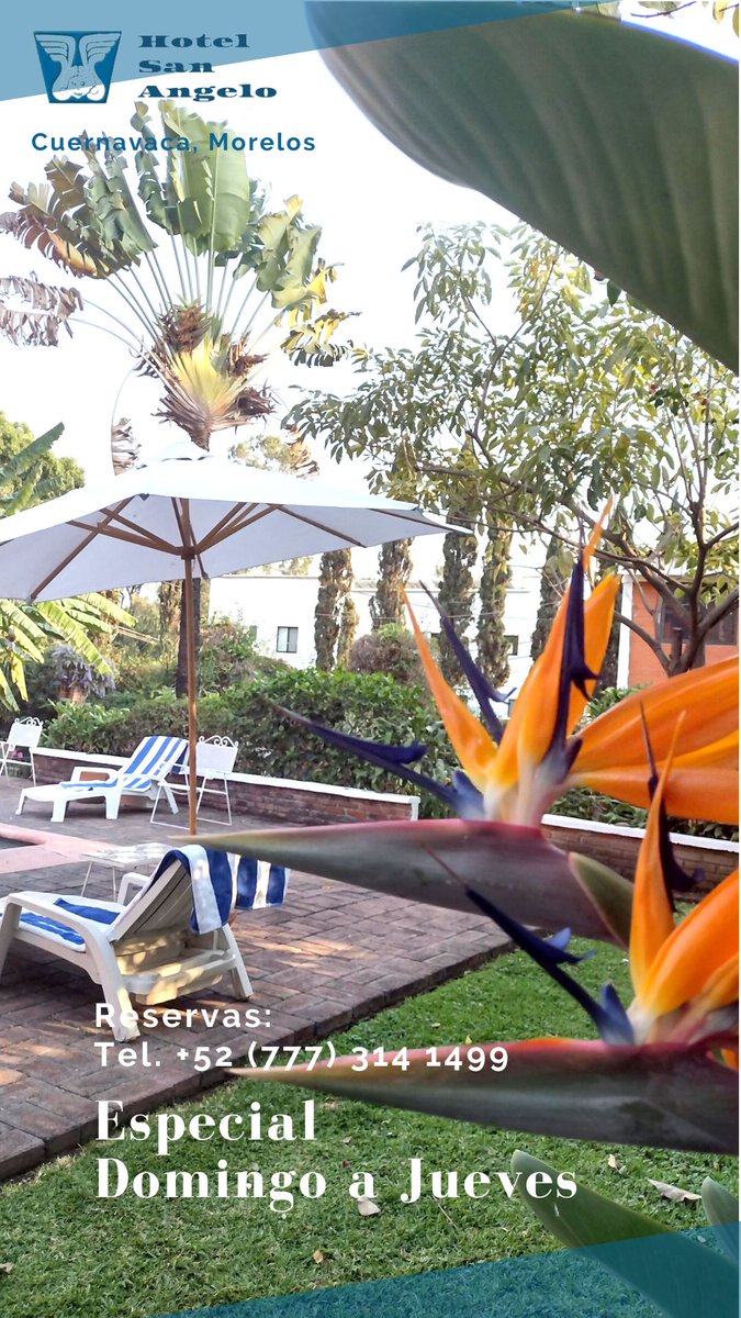 Hotel San Angelo (@angelo_hotel) on Twitter photo 