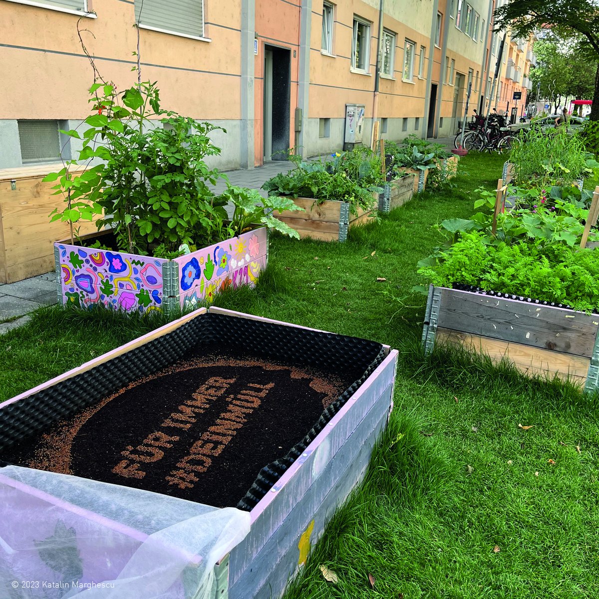 ichbindeinmuell's tweet photo. Gestern bei Nieselregen ein Hochbeet angelegt mit einem Motiv von meinem Projekt #DEINMÜLL 2.0. Gerne raten, nicht spoilern, was da wächst! 🌱🌱🌱🌱🌱🌱 
.
#littering #litterart #waste #zerowaste #müllvermeiden #nachhaltigkeit https://t.co/qzpuI6GNOT