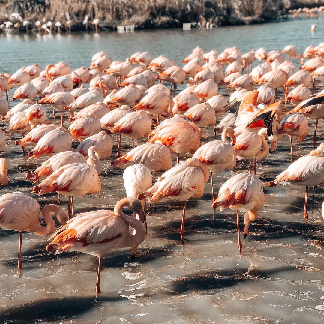 D-EDGE CRM – Formerly LoungeUp tweet media