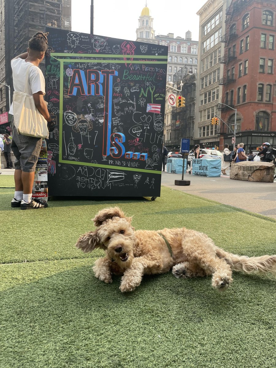 Even the dogs are dancing! 🐶 💛 🐾 Photo from multi-disciplinary artist and performer @Argo_da_dog on IG 🎨 👯 ✨ Visit us in the Flatiron Plaza for 'Art Is...' and salsa dancing tonight and next Thursday 7/20 from 4:00 - 7:00 PM! ☀️ ➰🖍️ #art #salsa #donyc #summernights