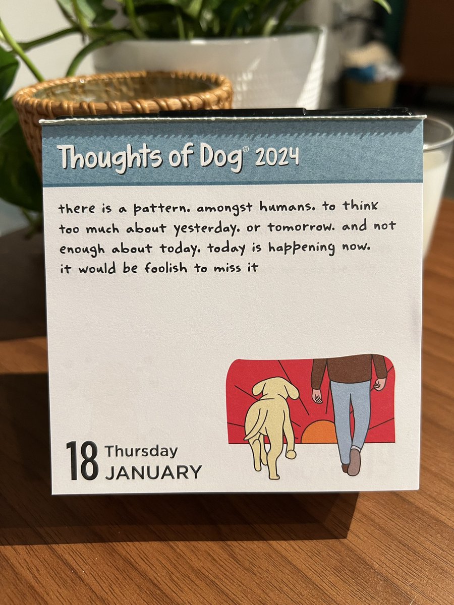 dog_feelings's tweet image. you shouldn’t let a day go by. without a thought. from yours truly. my 2024 daily calendar is available now ❤️

thoughtsofdog.com/pages/books-ca…