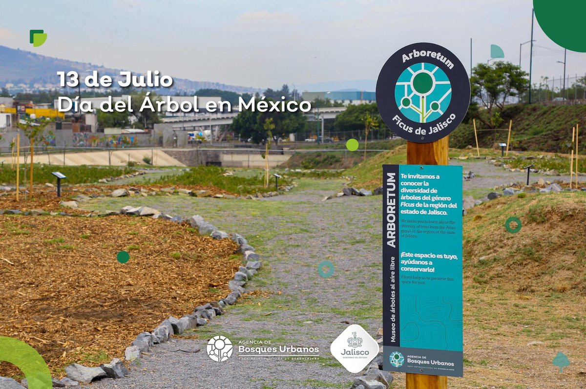 Bosques Urbanos tweet media