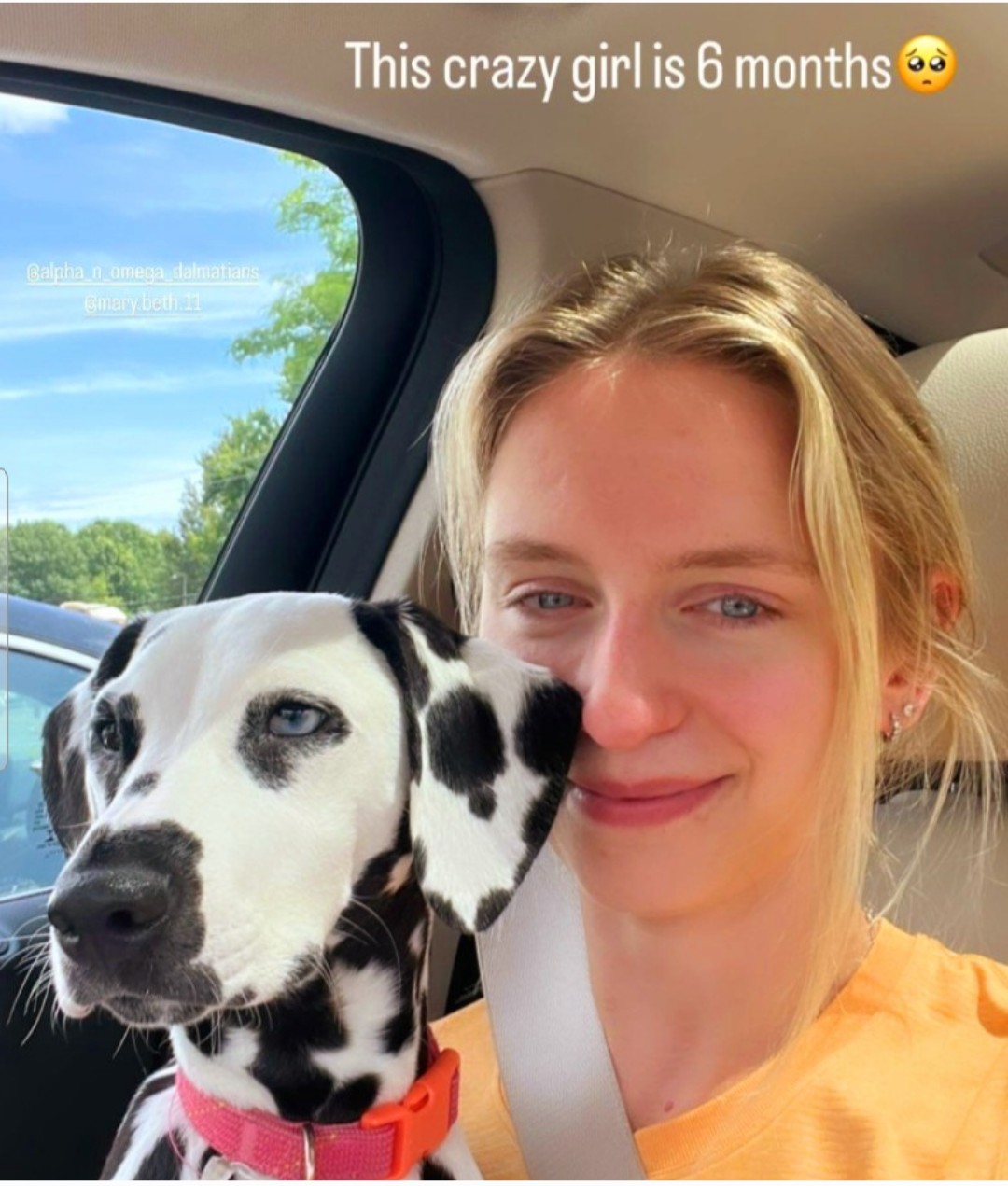 Alpha and sale omega dalmatians