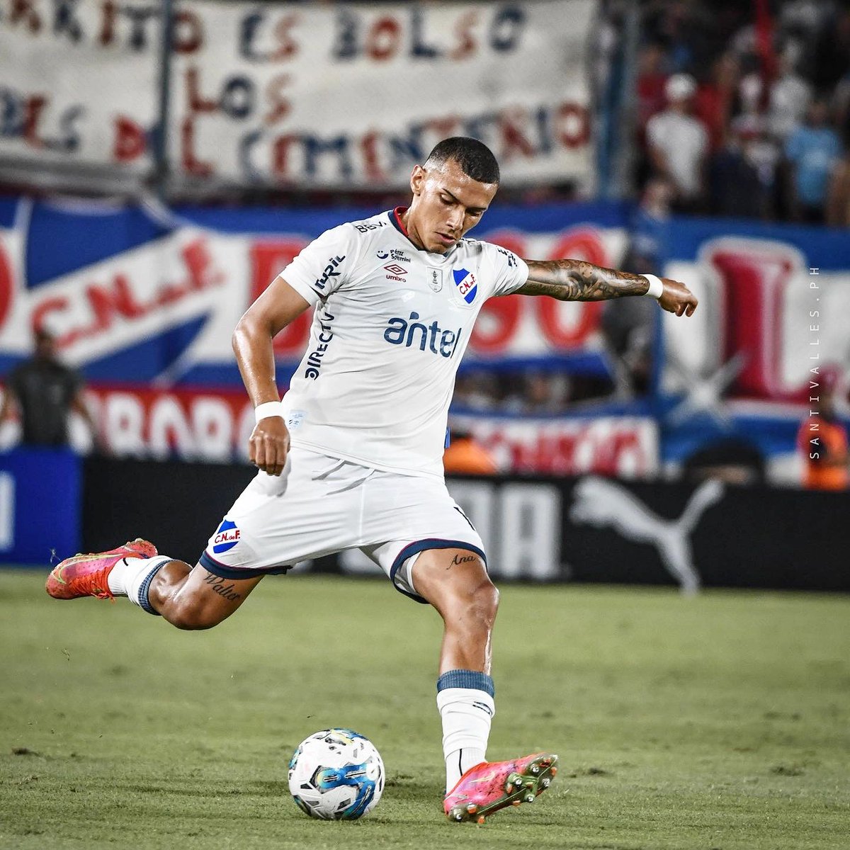 Sempre Vasco ✠ tweet media